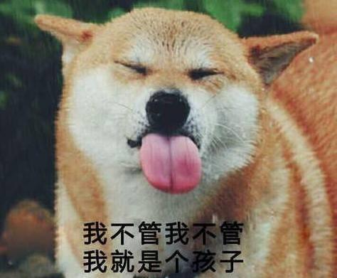 柴犬男星爆料视频大全集,揭秘娱乐圈幕后故事 第3张 柴犬男星爆料视频大全集,揭秘娱乐圈幕后故事 第3张