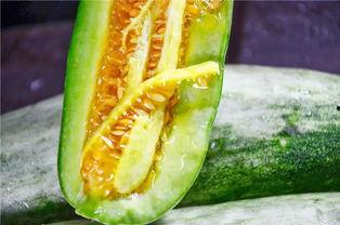 吃瓜网红有哪些,吃瓜网红的崛起与影响力  第3张