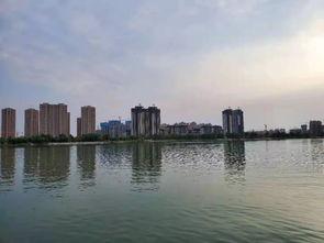 汕头龙湖区爆料案件最新,惊曝重大案件细节披露 第3张 汕头龙湖区爆料案件最新,惊曝重大案件细节披露 第3张